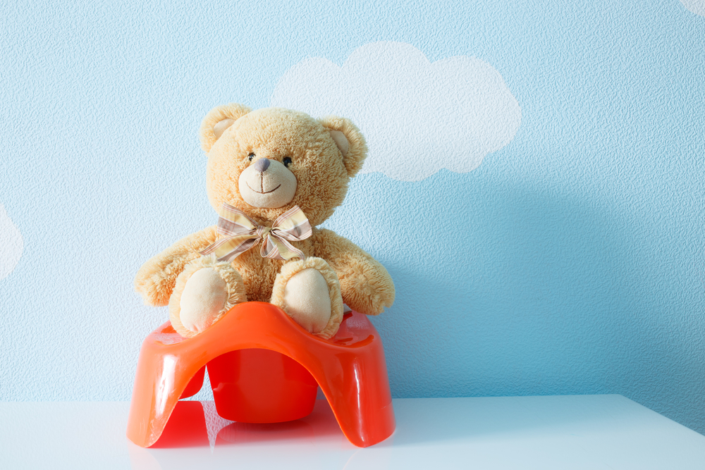 4 Things to Remember During Potty Training