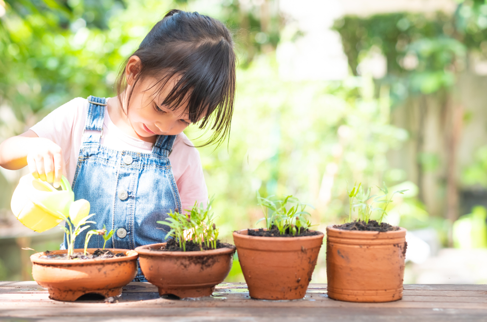 5 Garden Activities for Preschoolers