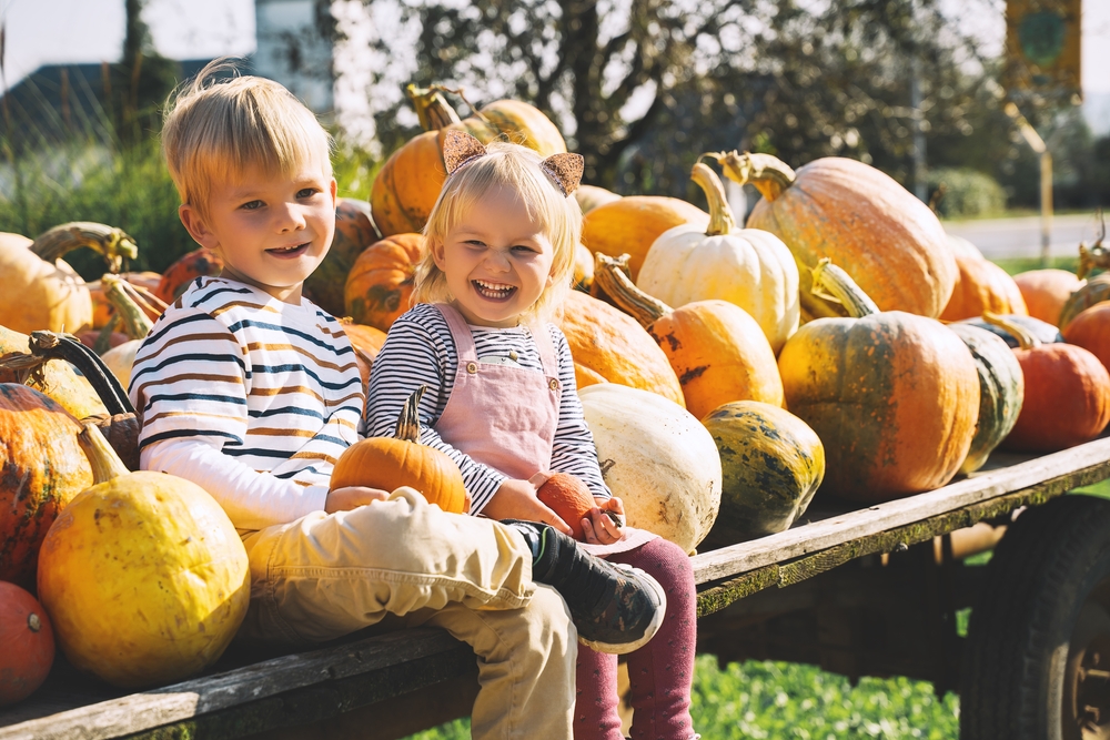 Celebrating Thanksgiving with the LightHouse School Family