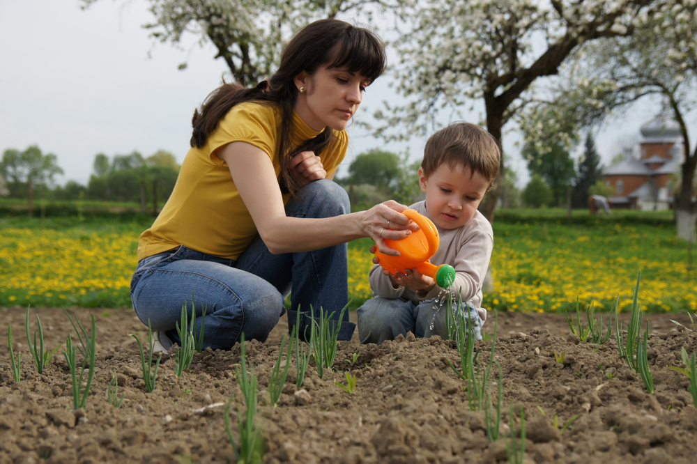 Fun & Educational Spring Activities for Kindergarten