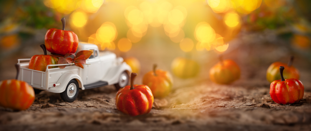 What We’re Thankful For This Season