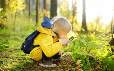 10 Best Summer Learning Activities for Preschoolers