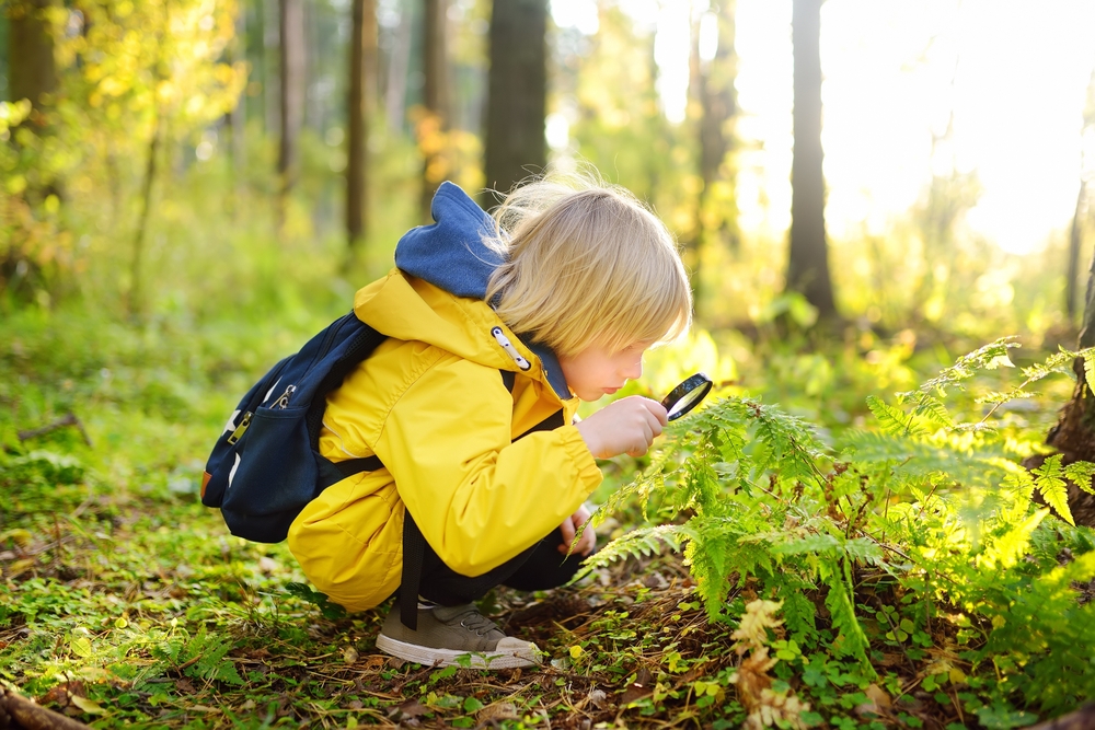 10 Best Summer Learning Activities for Preschoolers