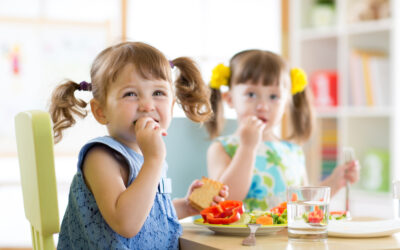 Guide to School Lunches For Kids