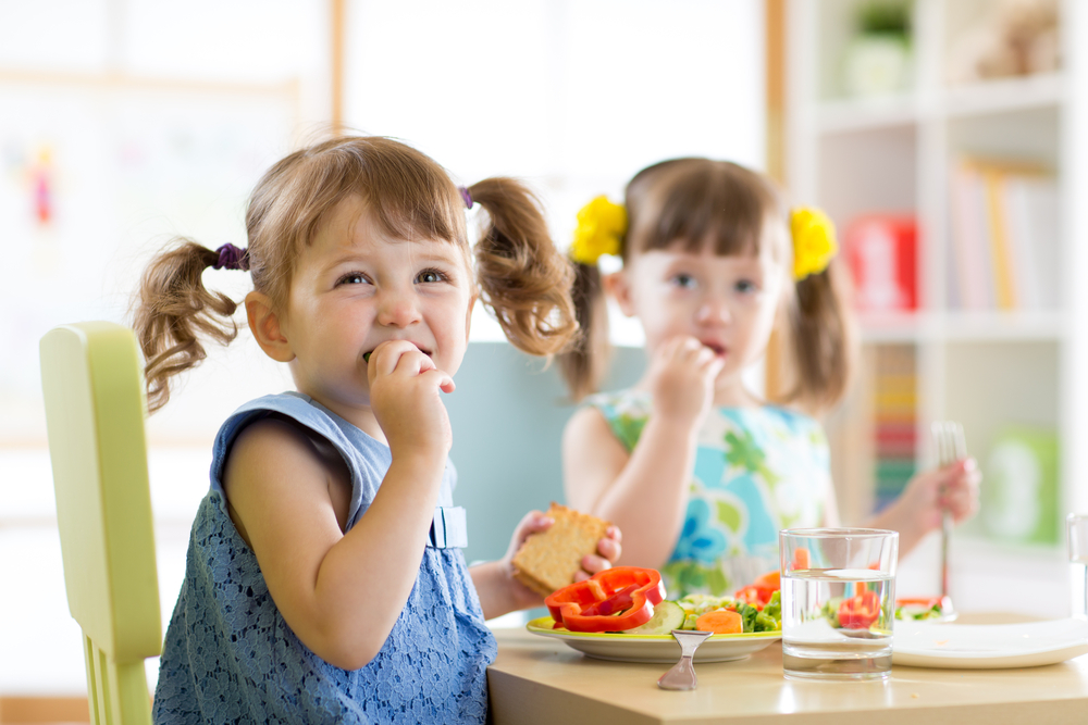 Guide to School Lunches For Kids