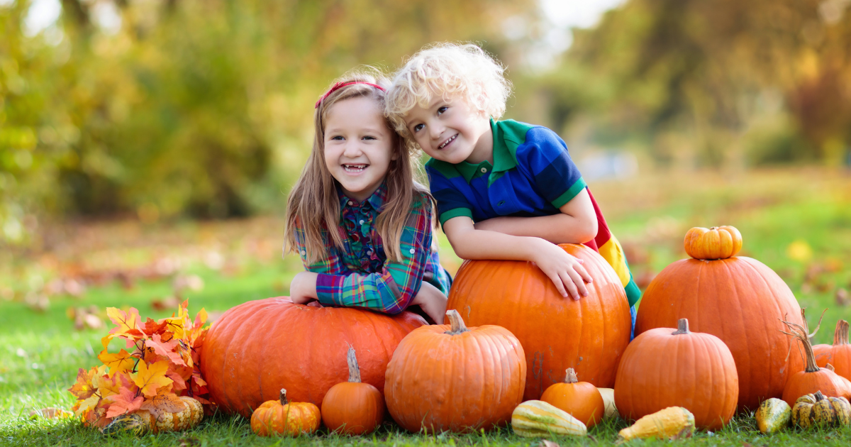 Fall Thanksgiving Image